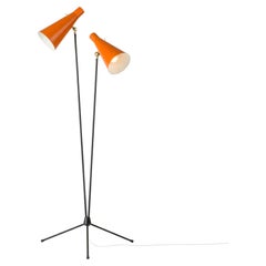 Lámpara de pie de estilo «Midcentury Modern» de Alf Svensson, Bergboms, Suecia, década de 1950