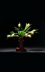 Florero Shiva de Ettore Sottsass