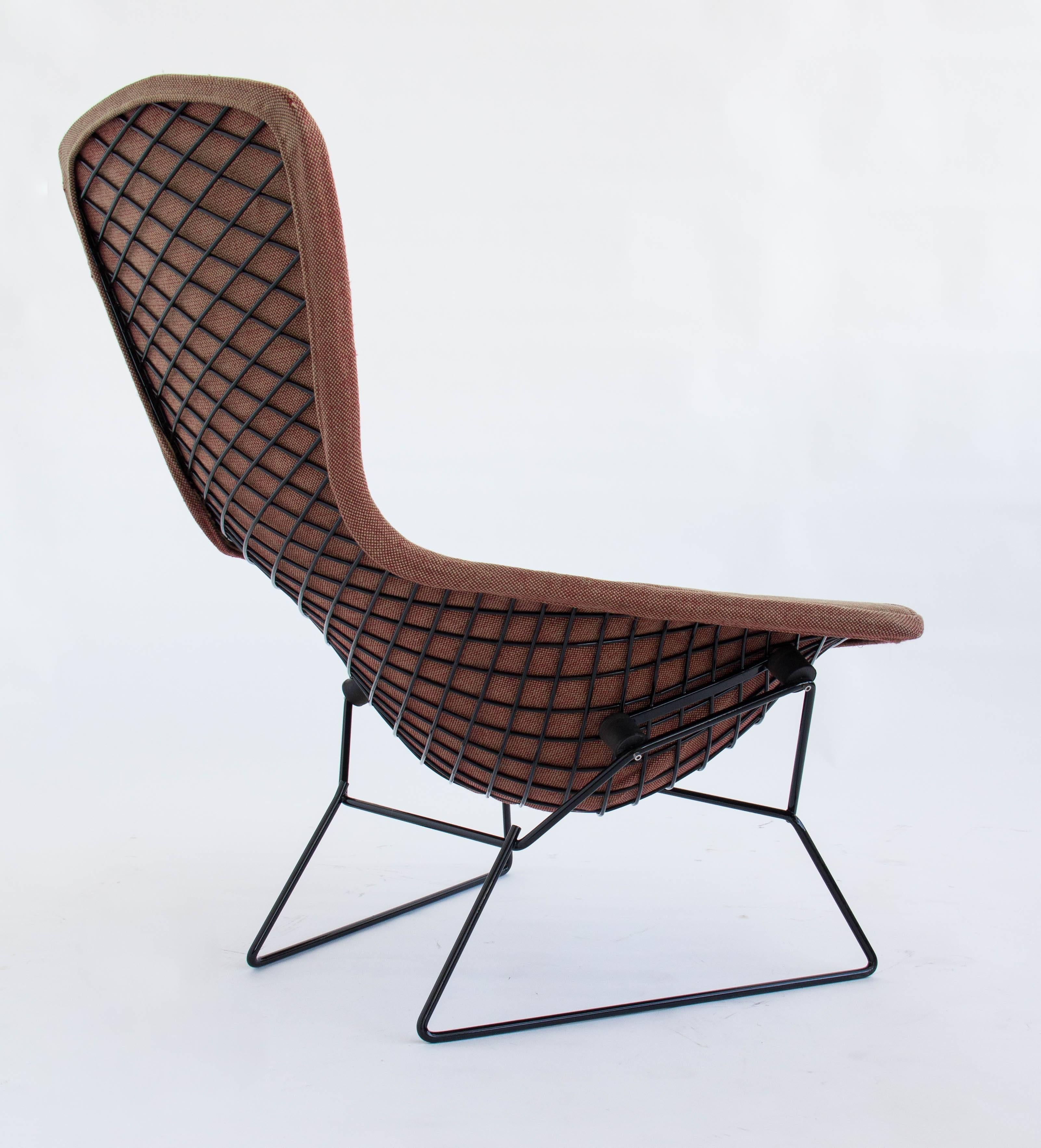 Mid-Century Modern Bird Chair by Hary Bertoia for Knoll