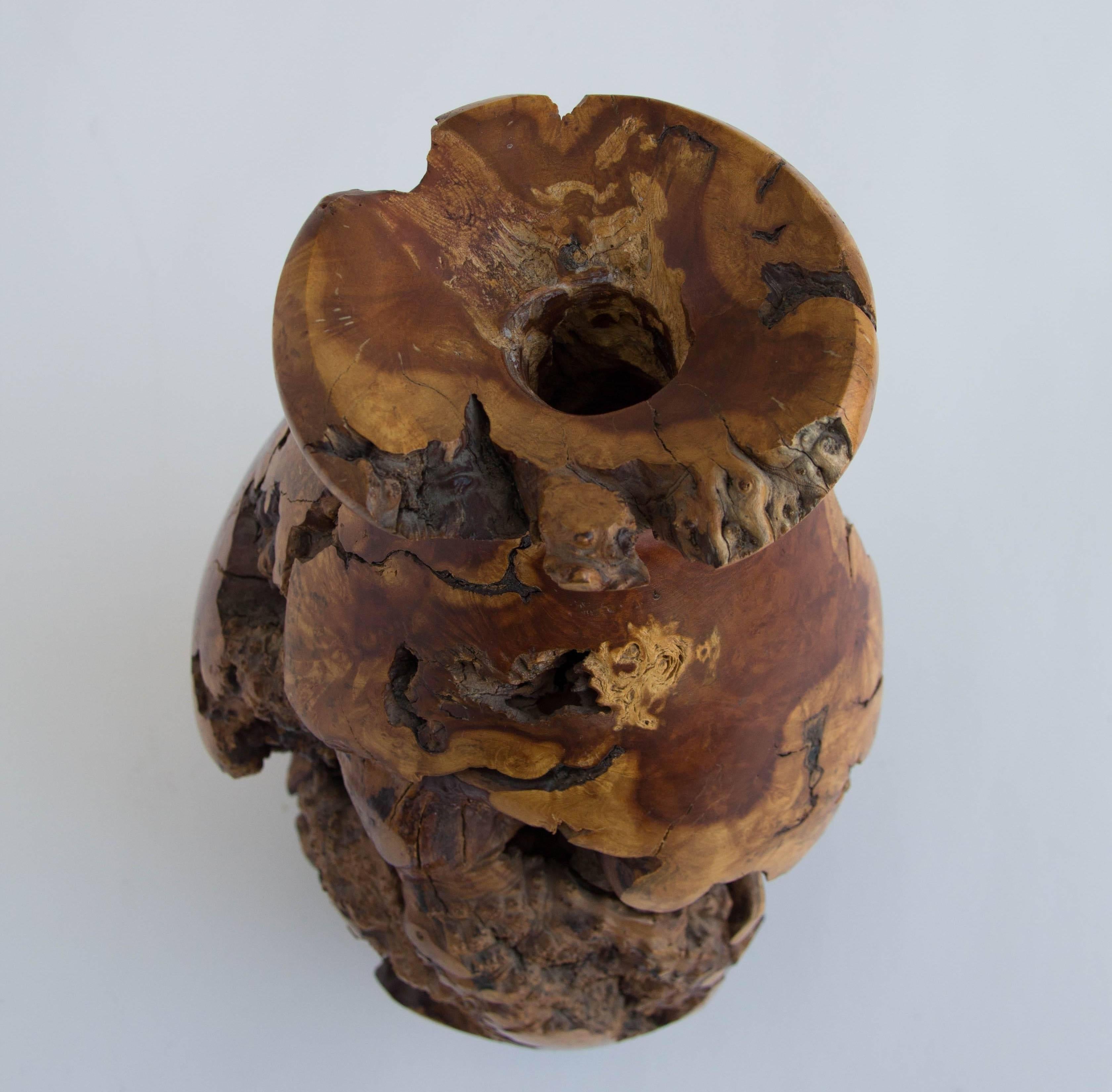 20th Century Large Turned Burl Wood Vase