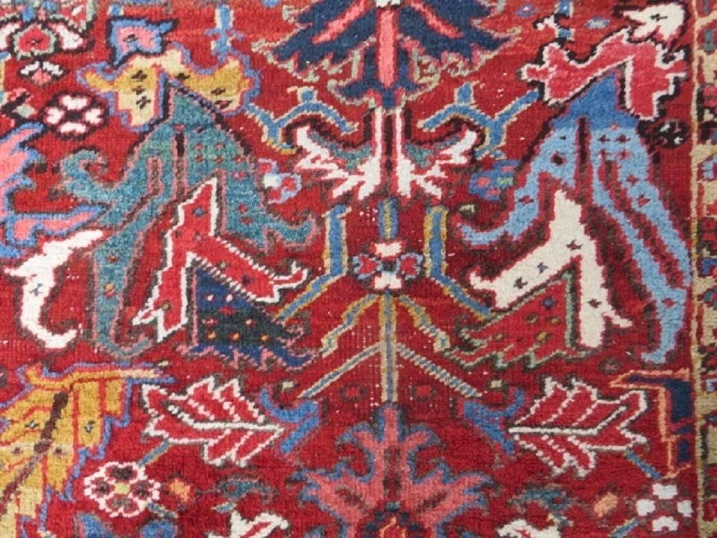 Antique Heriz Carpet Rich Warm Red and Full Pile 3