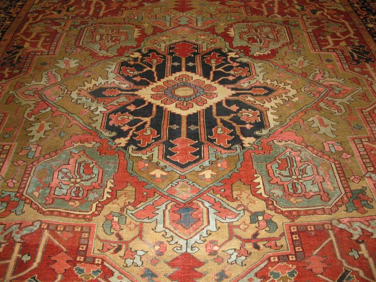 Antique Persian Serapi Rug For Sale at 1stdibs
