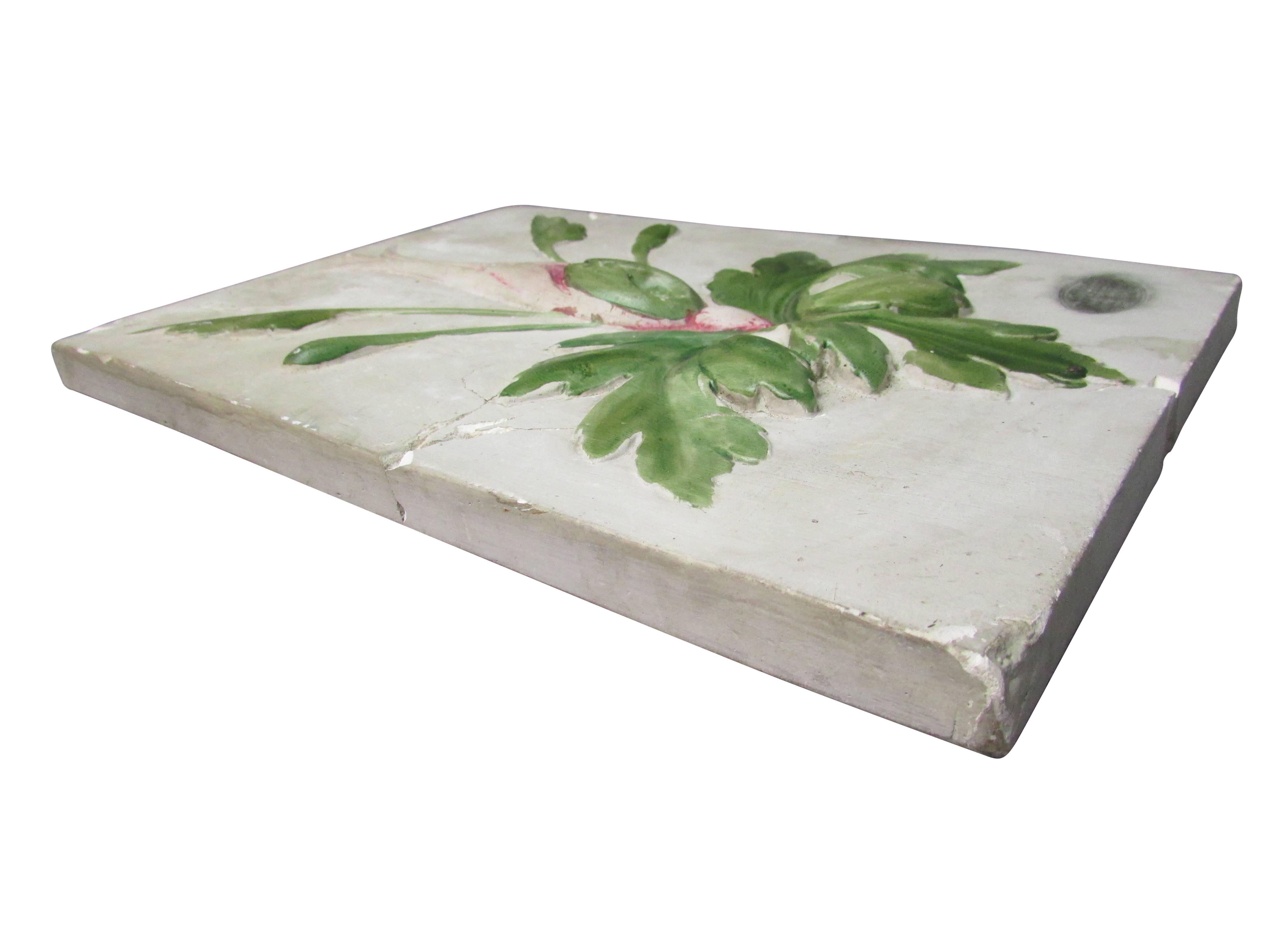 This is a hand-painted 19th century French educational plaster cast botanical plaque made by revered Parisian cast maker M. Gherardi.