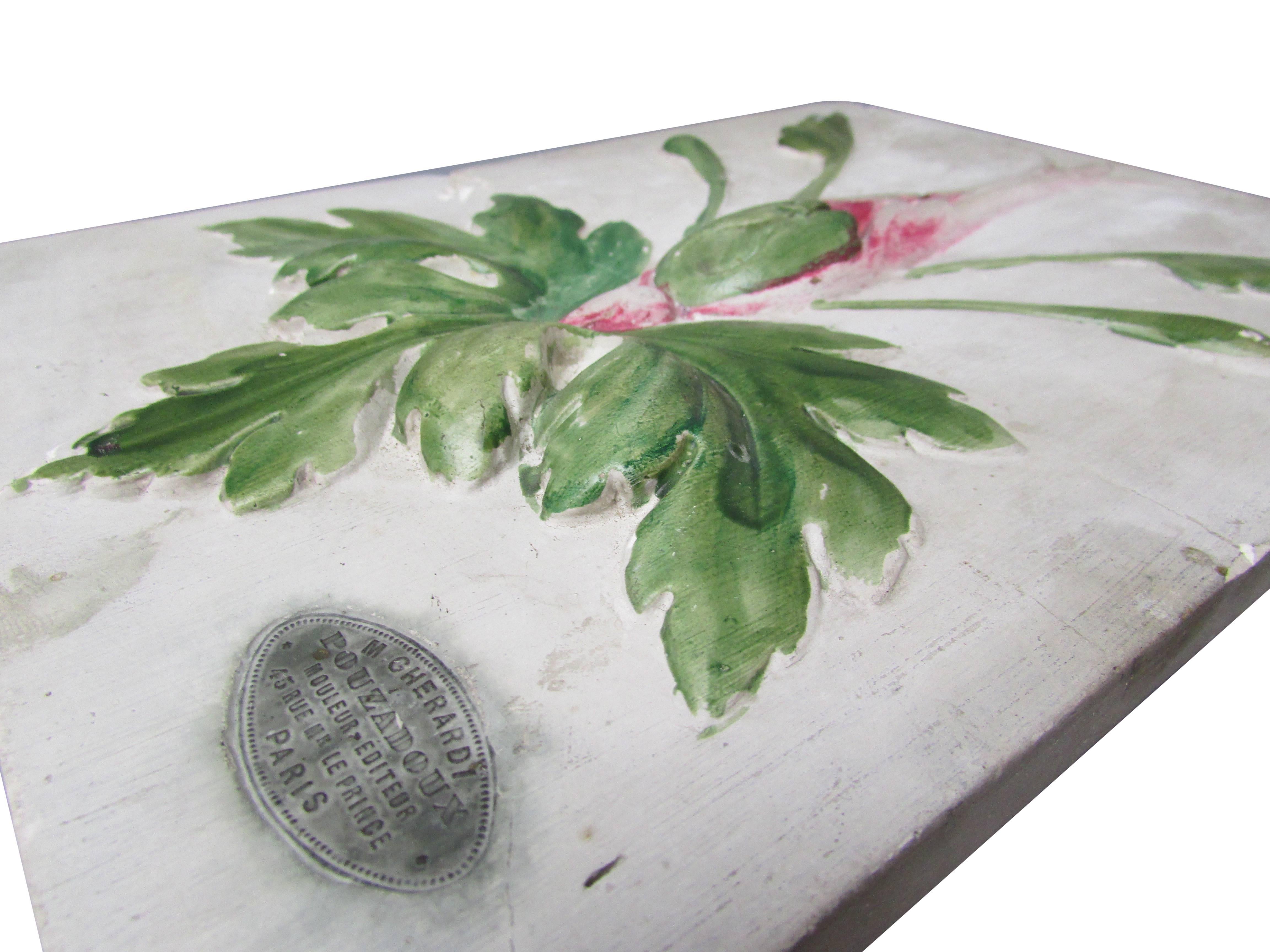 19th Century French Educational Plaster Botanical Plaque In Good Condition For Sale In Seattle, WA