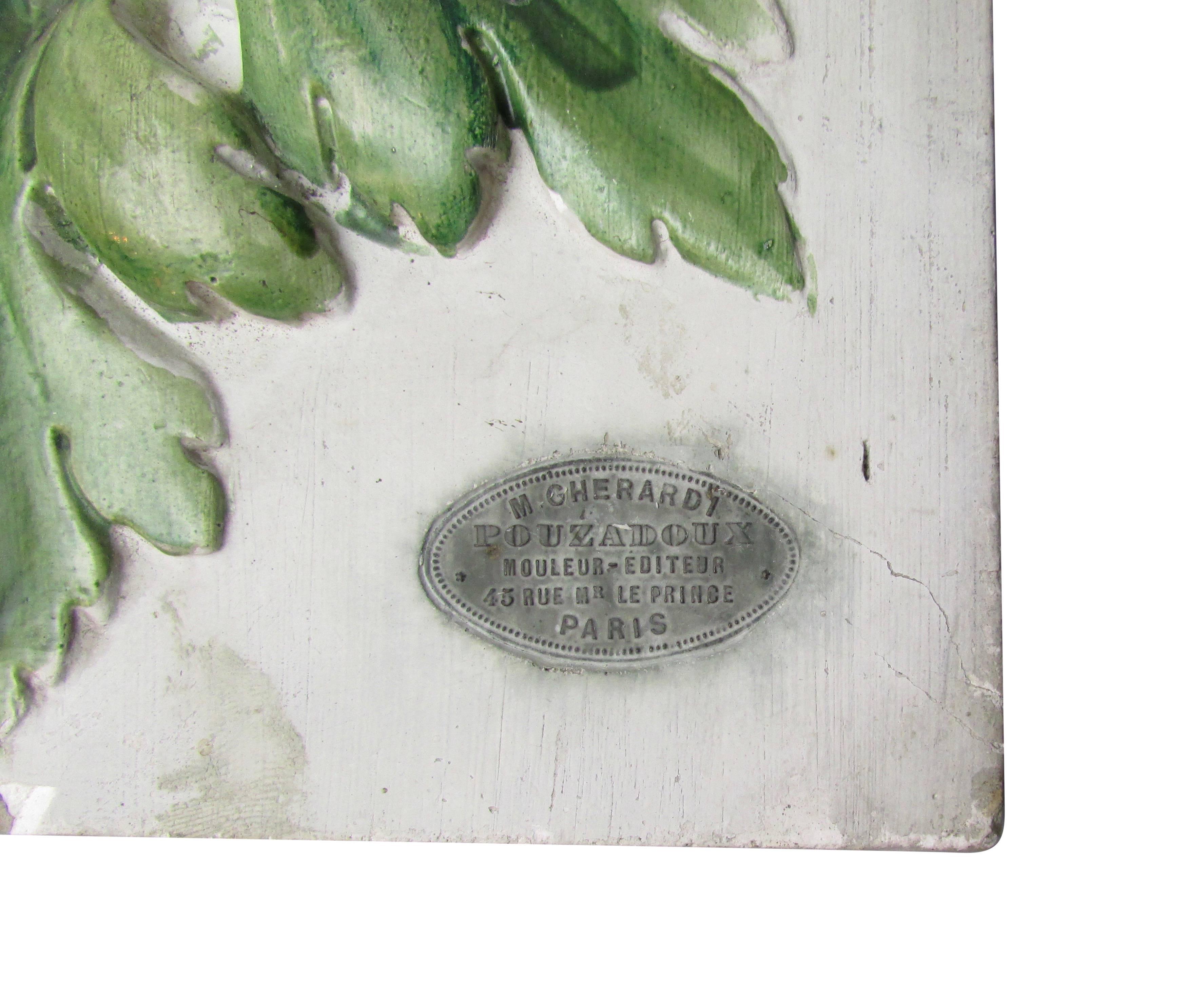 19th Century French Educational Plaster Botanical Plaque For Sale 1