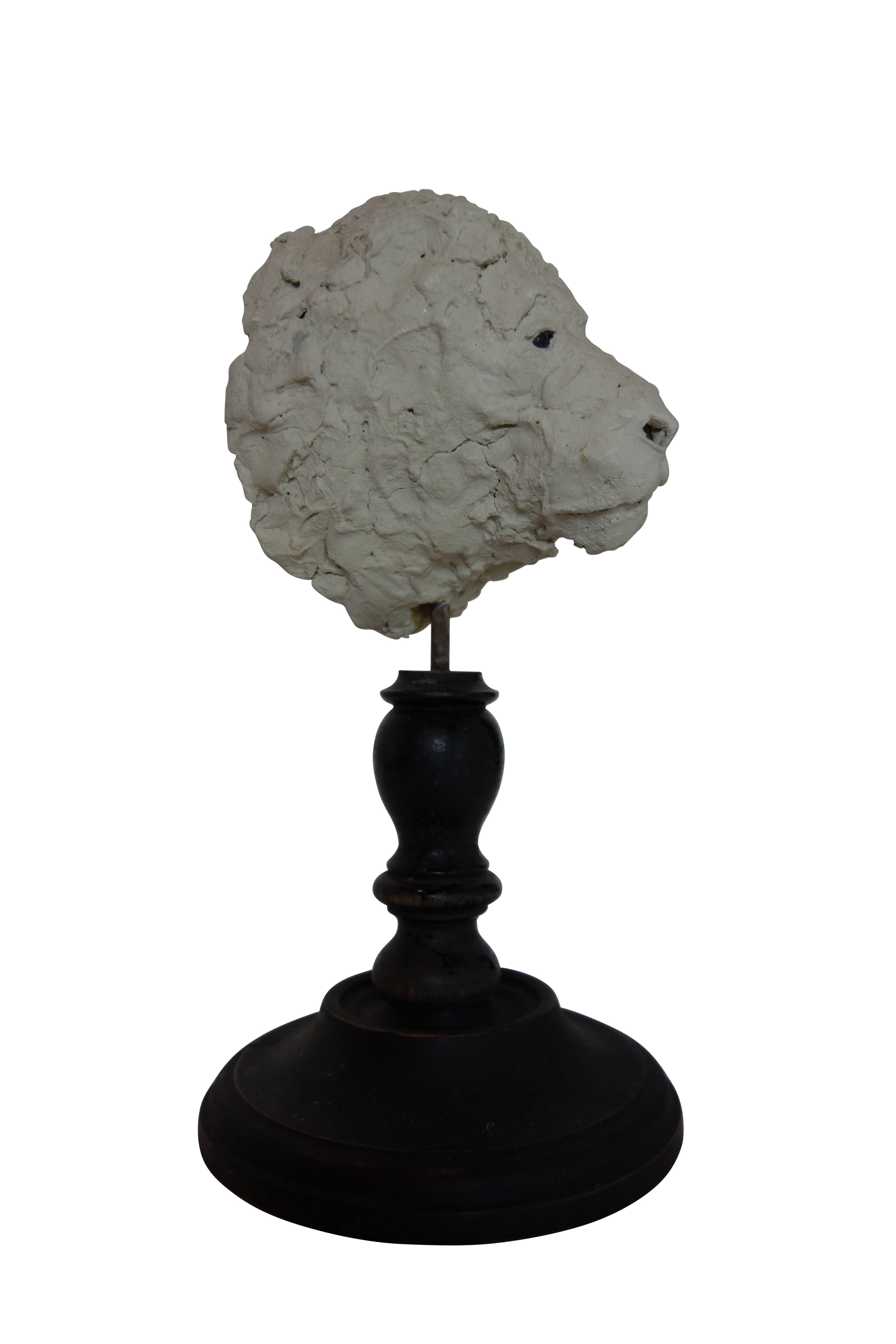 French 19th Century Plaster Lion Head Sculpture on Wood Stand