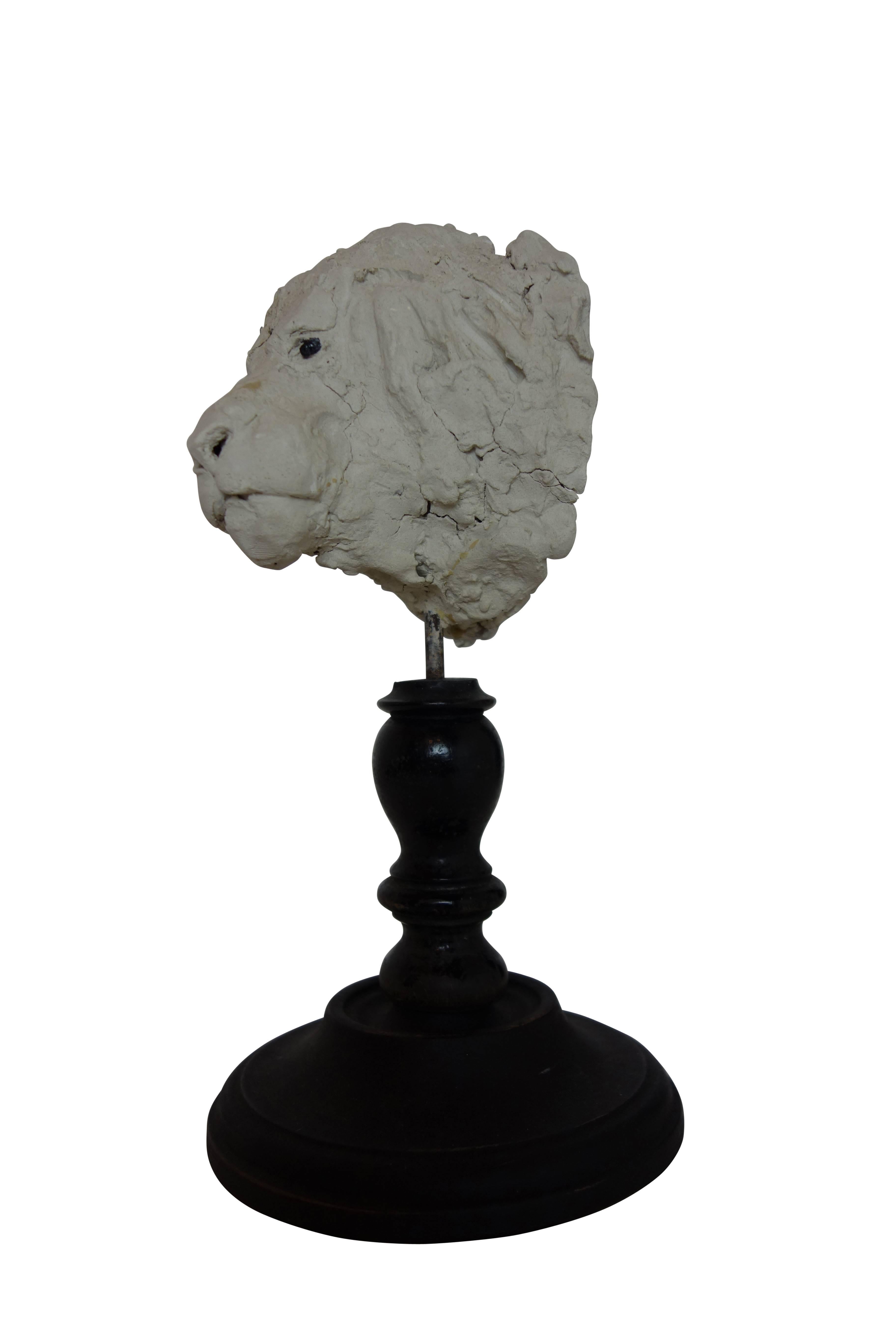 19th Century Plaster Lion Head Sculpture on Wood Stand 3