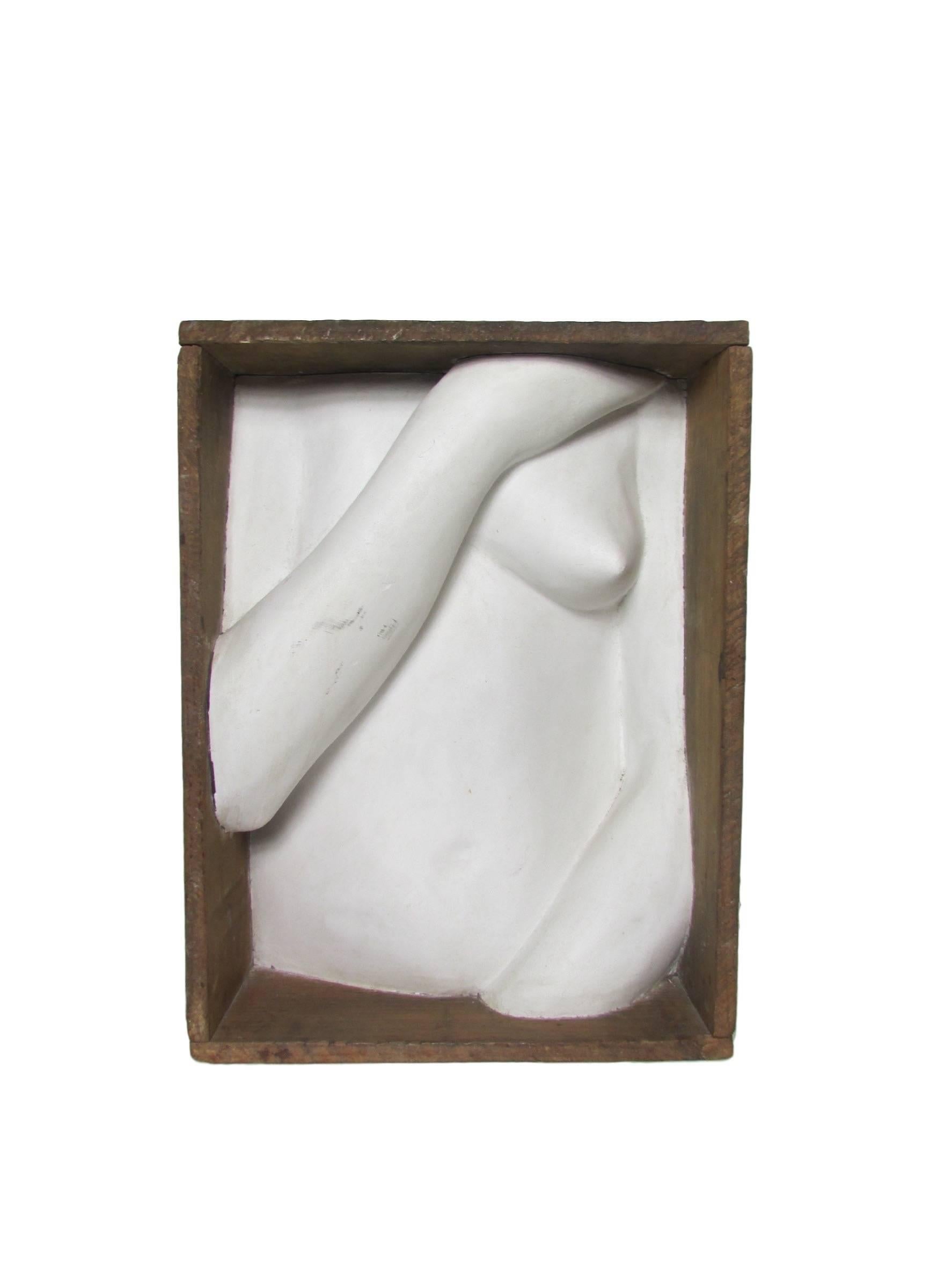 This is a unique vintage plaster sculpture of a female torso inside of a wood box.  Signed and dated 'Peterson 75.'
