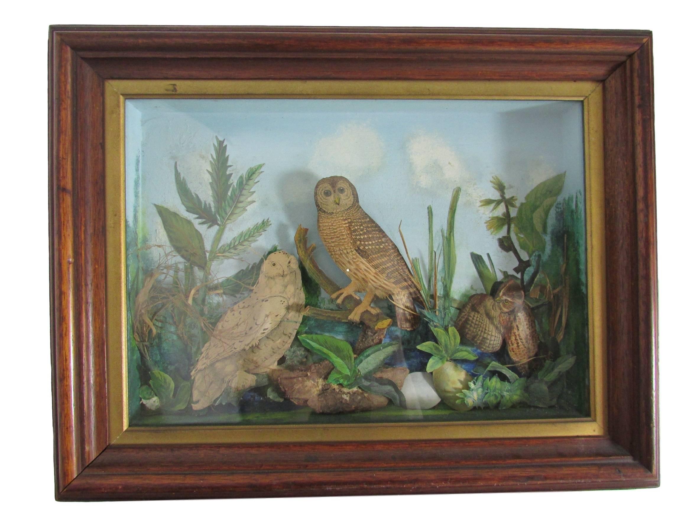 This is a fantastic pair of Victorian era owl dioramas in shadow boxes.  Creatively assembled with natural elements, decoupaged lithograph clippings, and hand painted backgrounds.