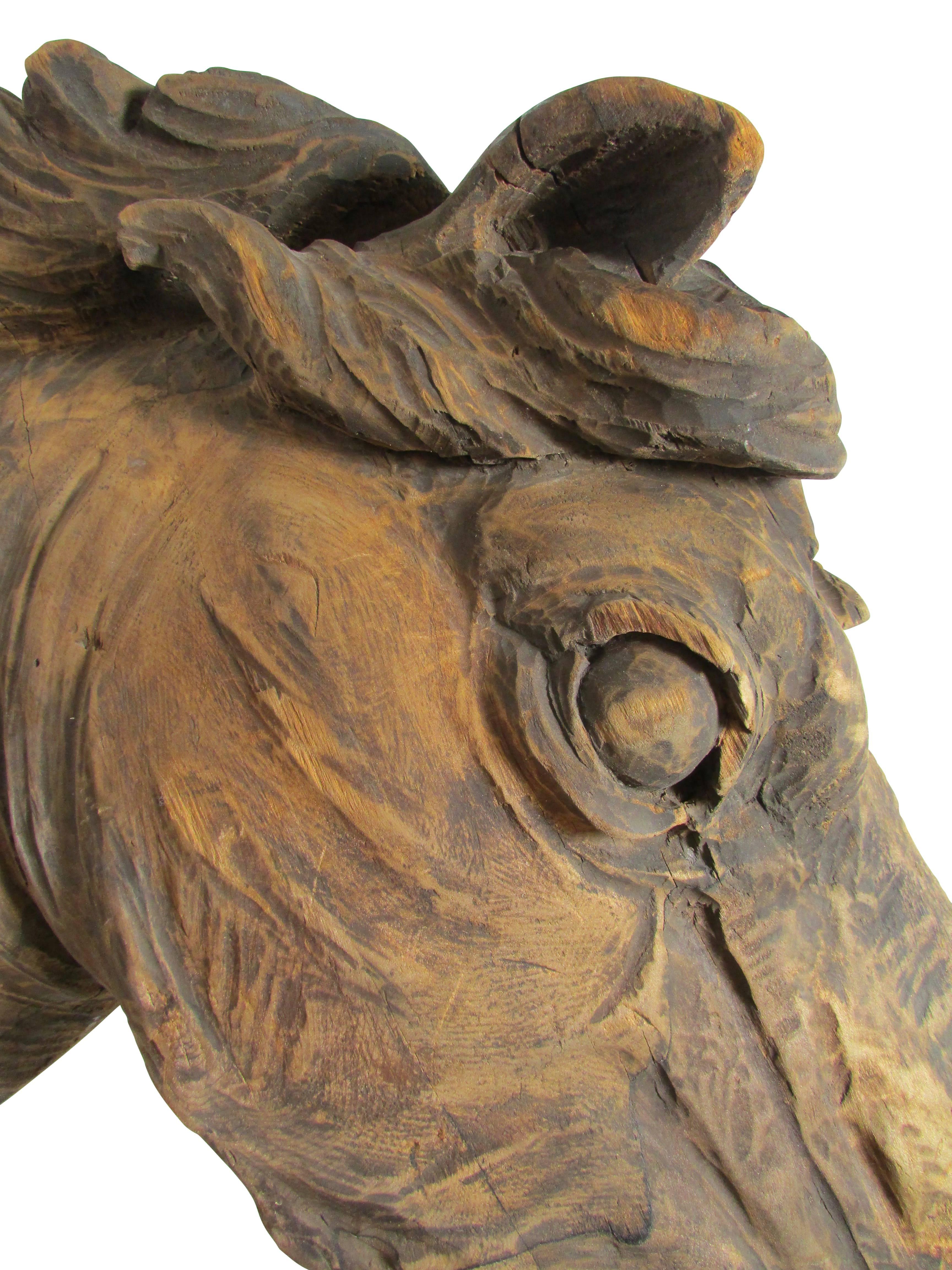 Early 20th Century Carved Horse Head 4