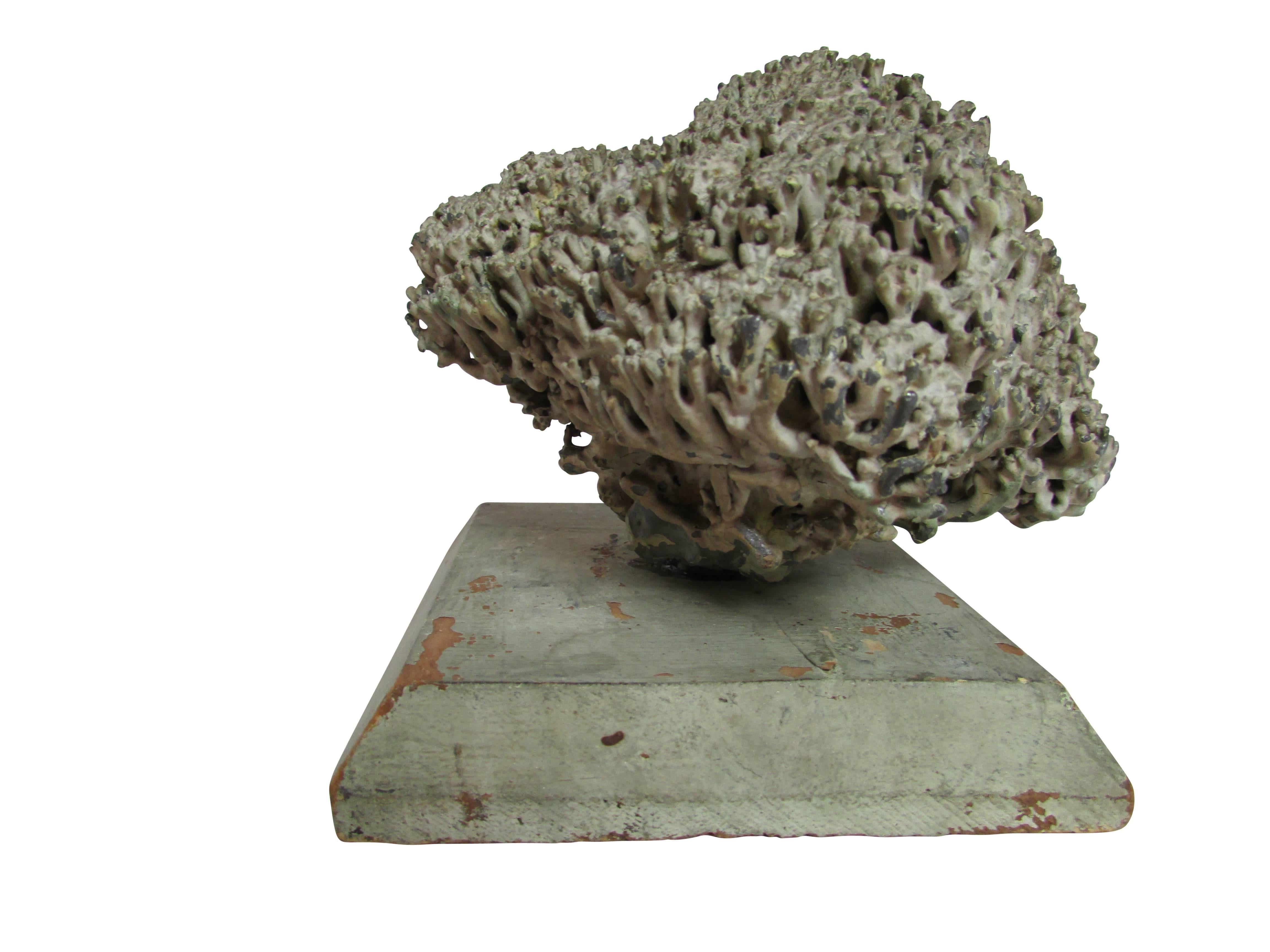This is a wonderful lead sculpture of a coral specimen mounted to a painted wood stand.