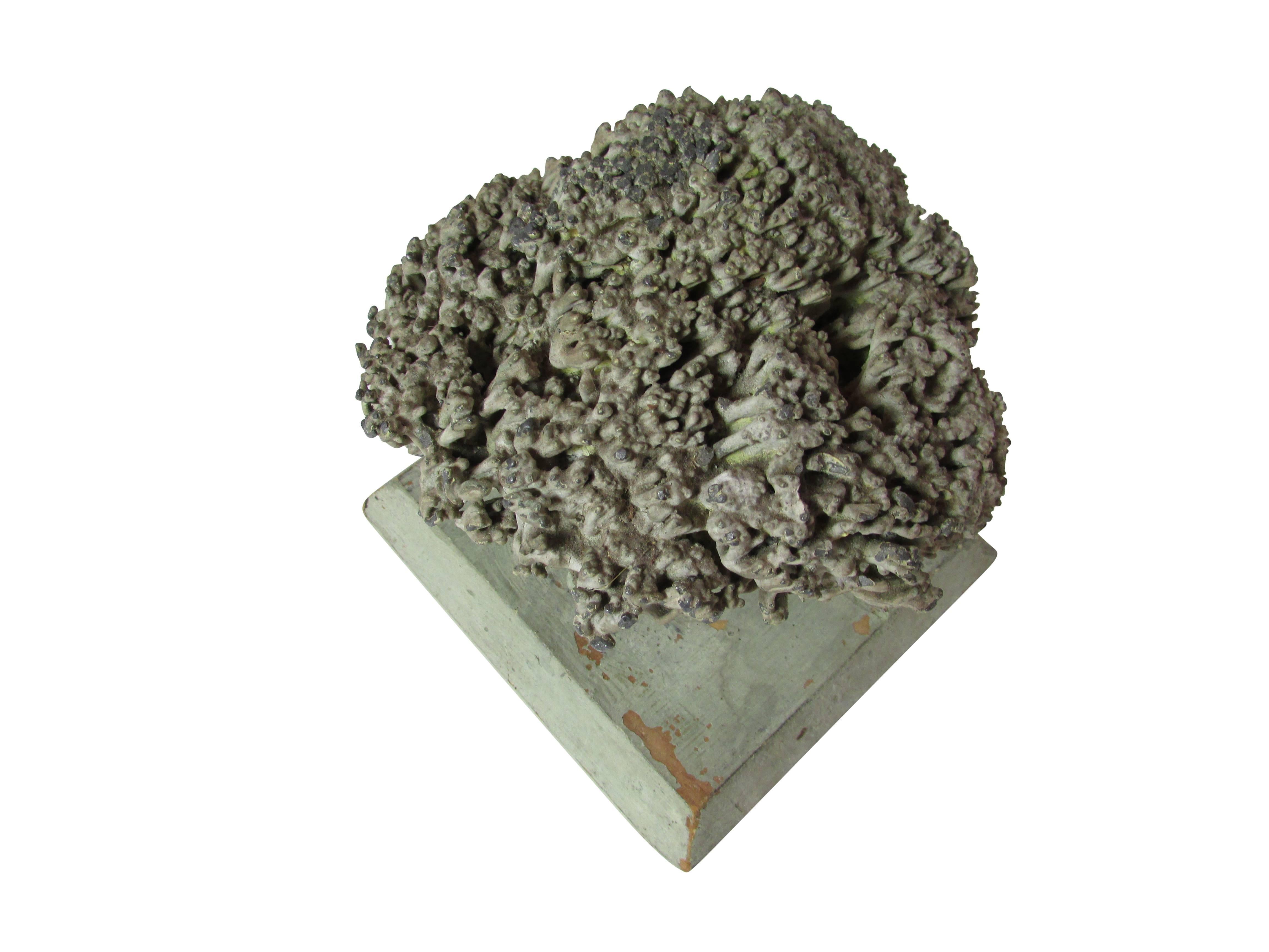 Other Lead Coral Sculpture