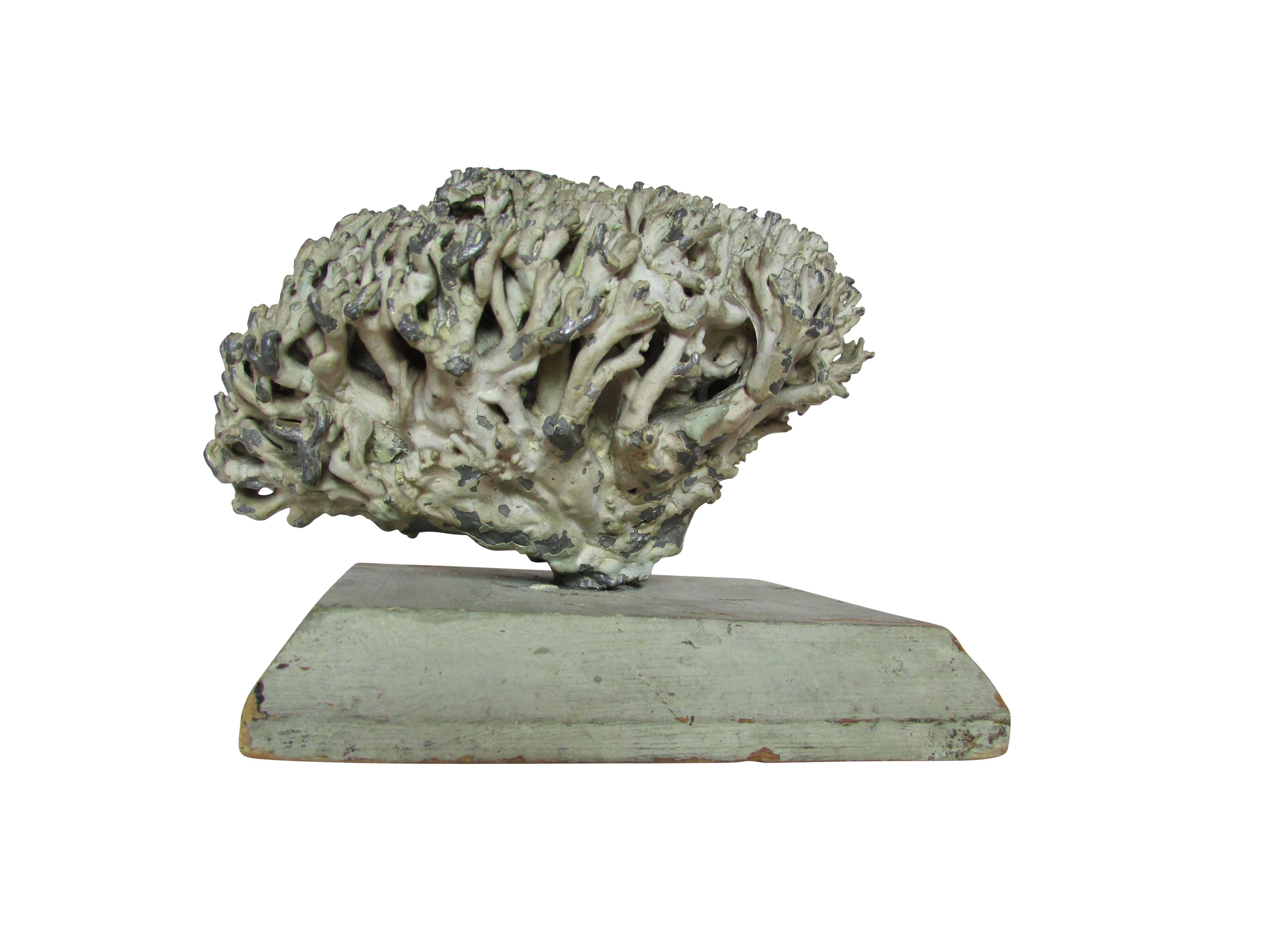 Unknown Lead Coral Sculpture