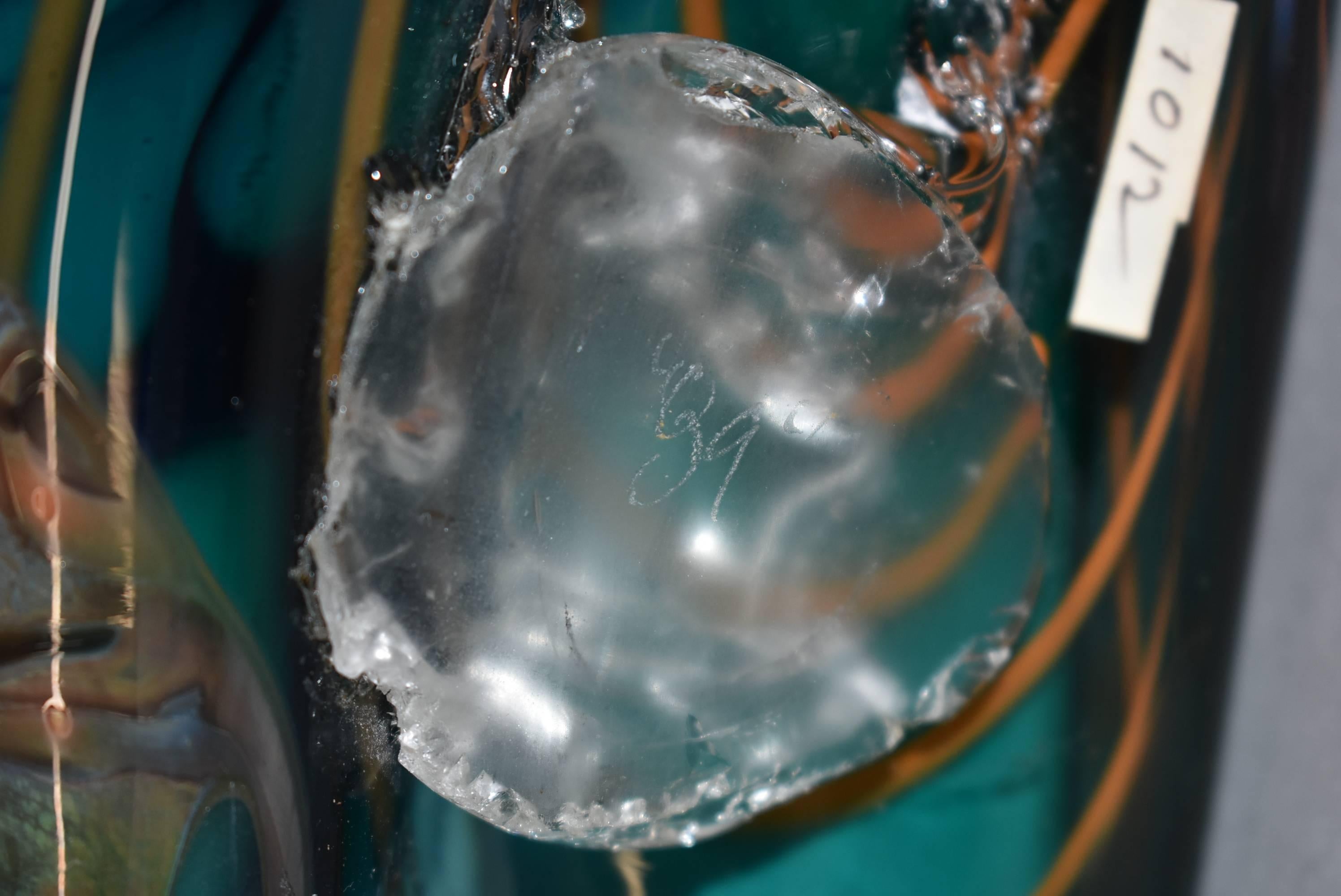 Chris Hawthorne and James Nowak Art Glass Aquarium Vase, circa 1989 1