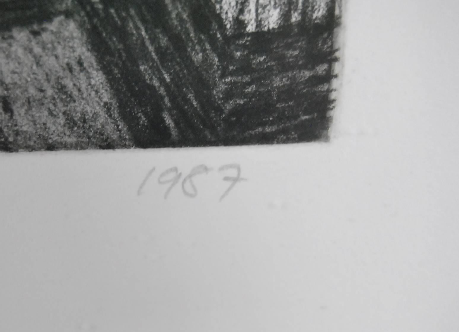 Modern Black & White Etching by Yvonne Jacquette, Skowhegan II, circa 1987 In Good Condition For Sale In Toledo, OH