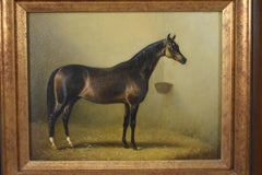 Thoroughbred Bay Horse Painting On Board, 19th Century