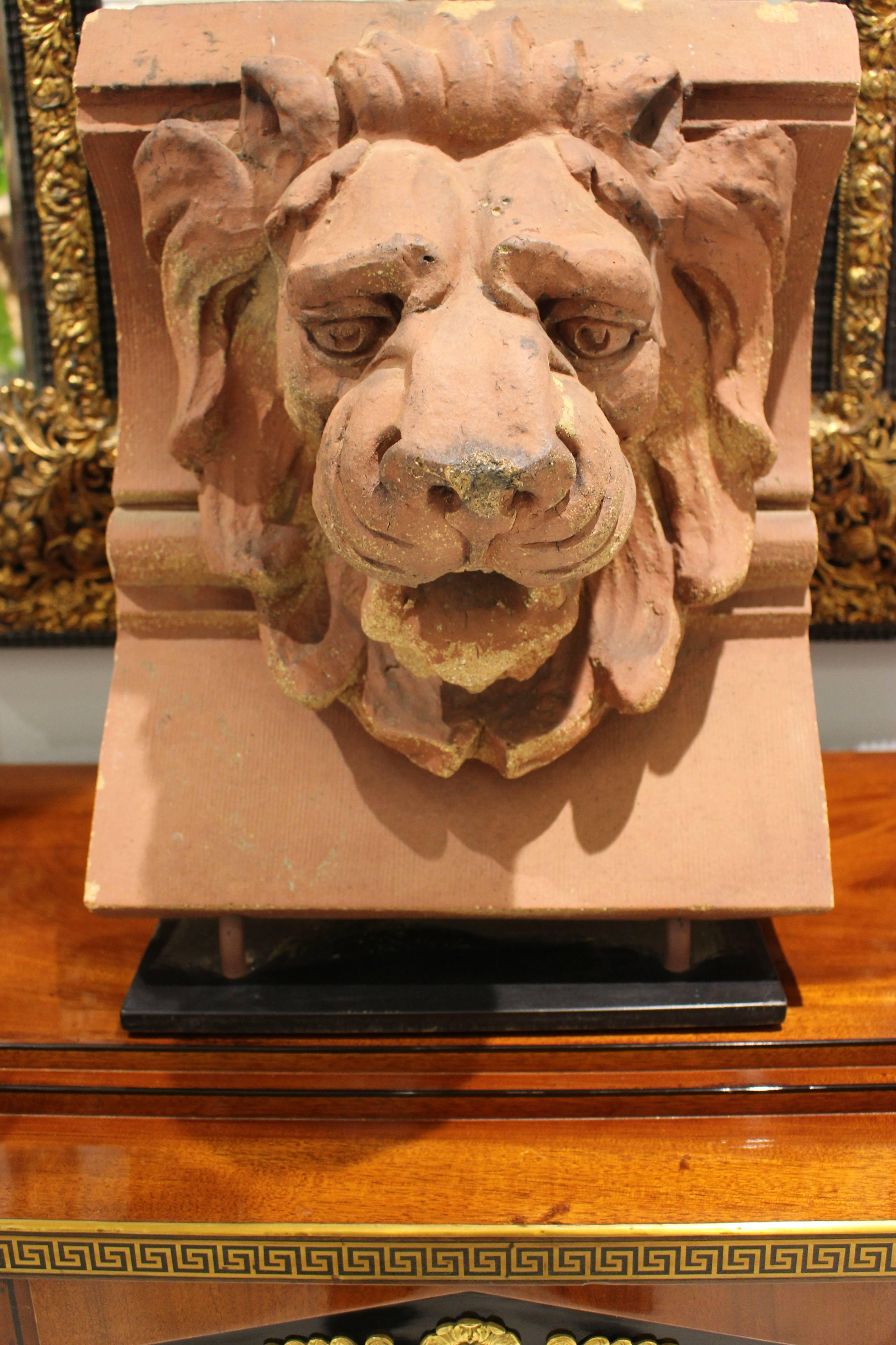 A pair of late 19th century salvaged American terracotta architectural elements in the form of roaring lions faces molded between a groove and a torus on a concave streaked surface. Probably a modillion or cornice element once, each lion is