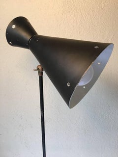 Midcentury Grasshopper Floor Lamp with Adjustable Shade