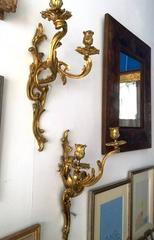 Beautiful Pair of Louis XV Style Gilt Bronze Wall Lights, Late 19th Century