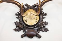 19th Century Fallow Deer Trophy on Original Black Forest Plaque