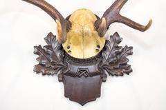 19th Century Habsburg Fallow Deer from Eckartsau Castle on Black Forest Plaque