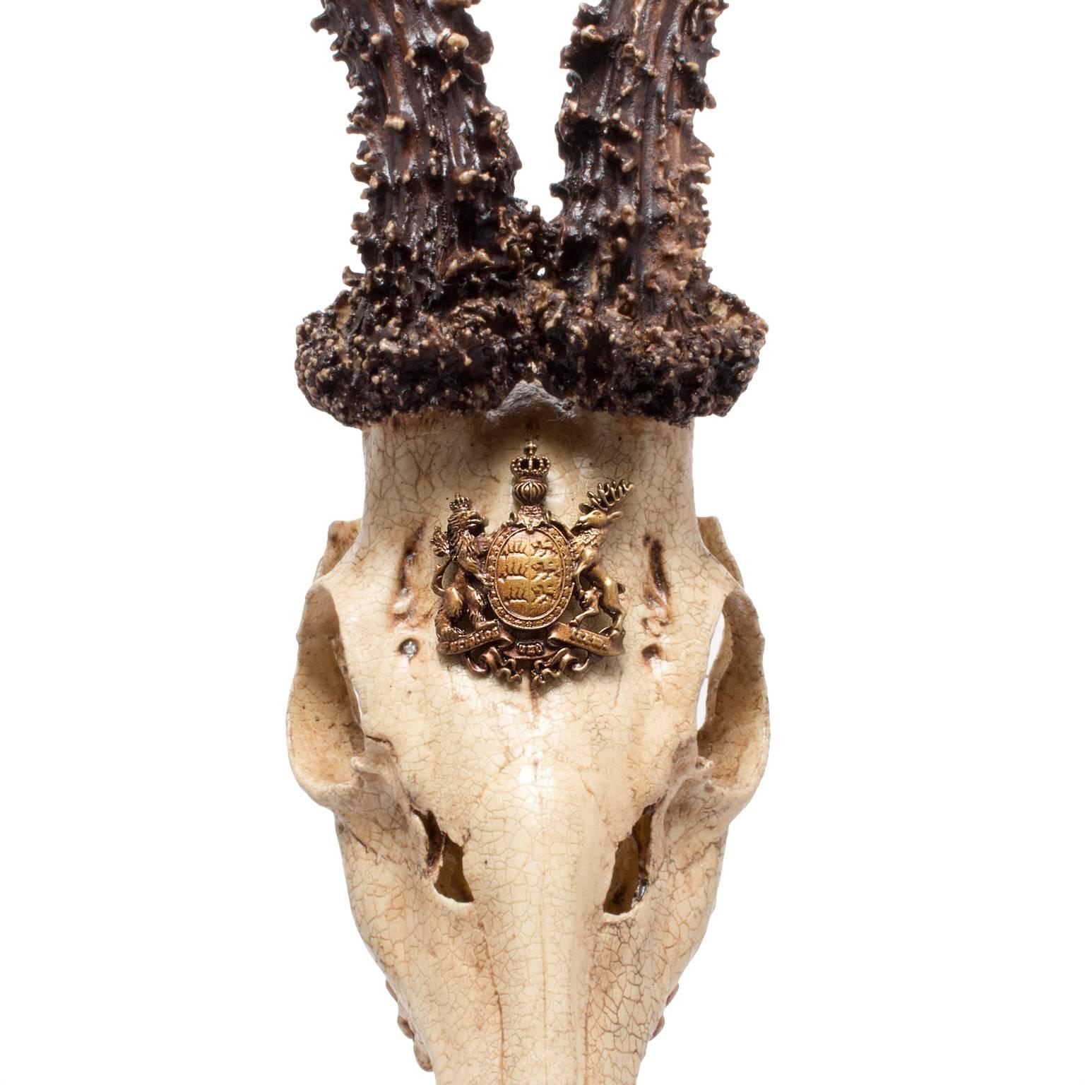 Black Forest 19th Century Roe Deer Trophy from King of Württemberg, Germany