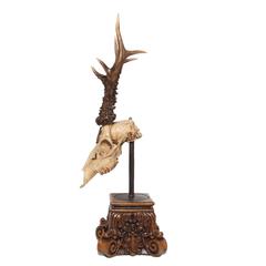 19th Century Roe Deer Trophy from King of Württemberg, Germany