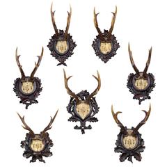 Set of Seven Baron Rothschild Roe Deer Trophies on Original Black Forest Plaques