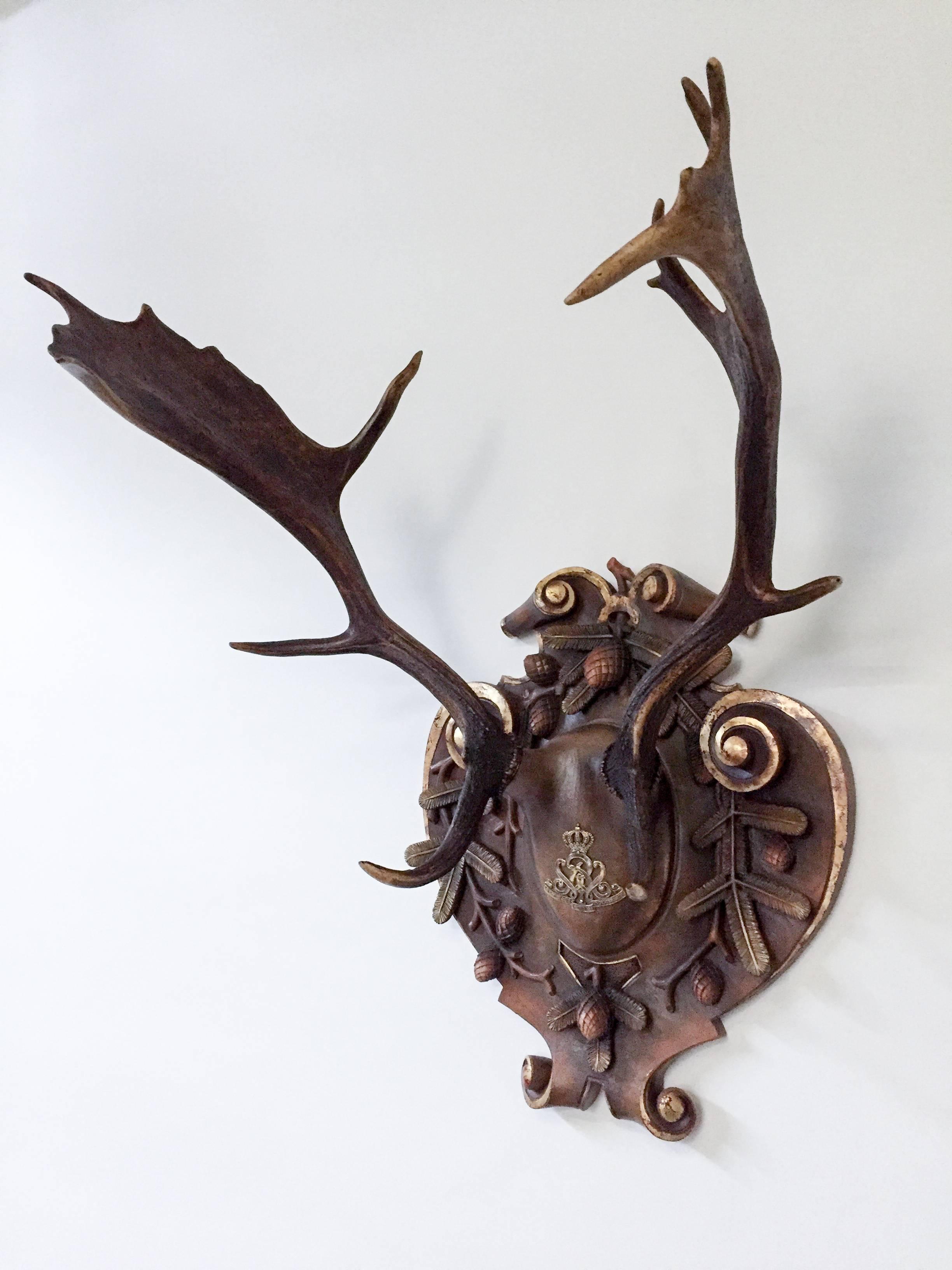 19th century fallow deer from Emperor Franz Josef's castle at Eckartsau in the Southern Austrian Alps, a favorite hunting schloss of the Habsburg Royal family. This historic hunting trophy features a replacement hand-carved linden wood plaque with