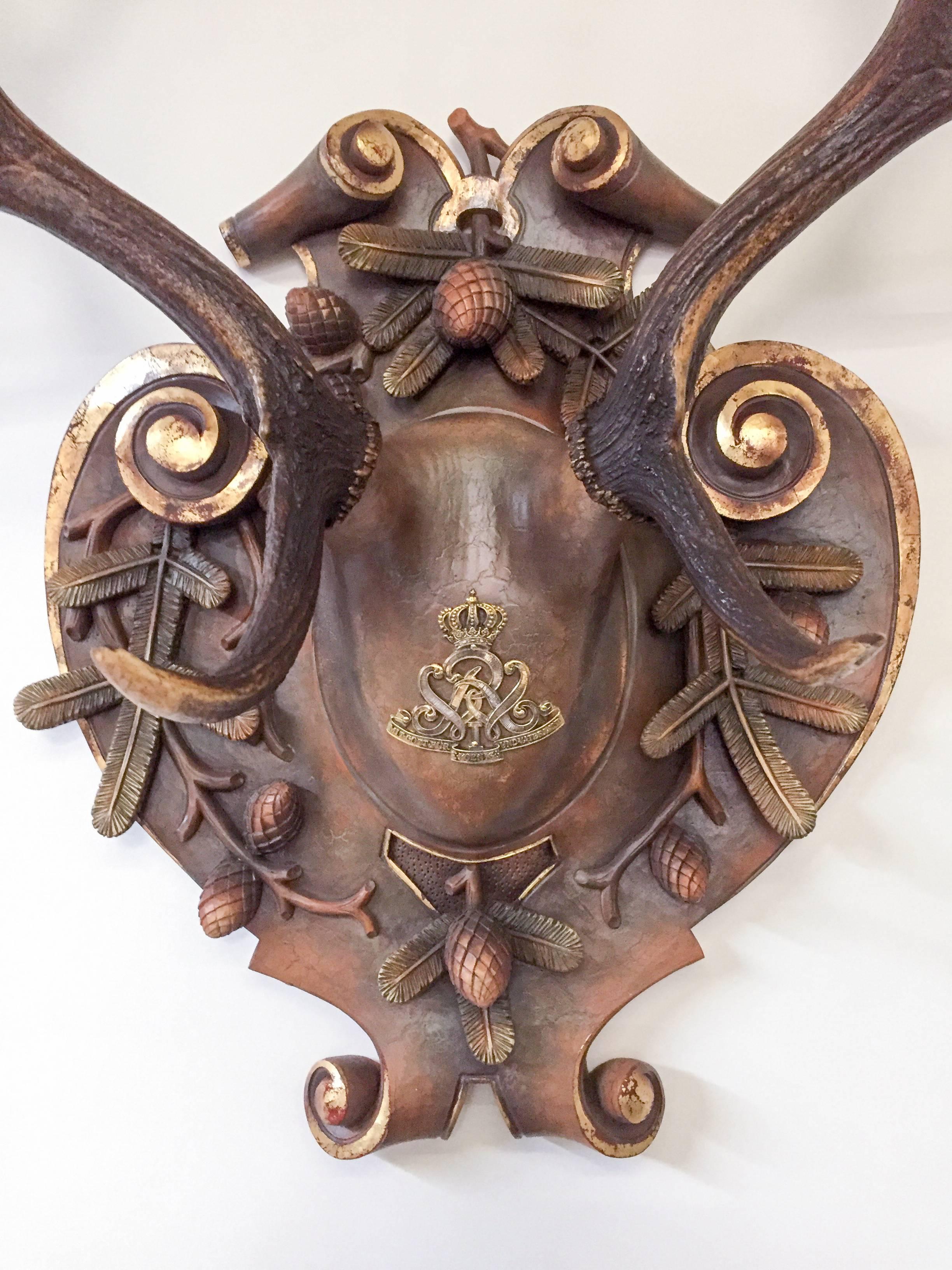 Austrian 19th Century Habsburg Fallow Hunt Trophy with Original Wappen from Austria