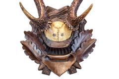 Early 19th Century Habsburg Sika Deer Trophy on Original Black Forest Plaque
