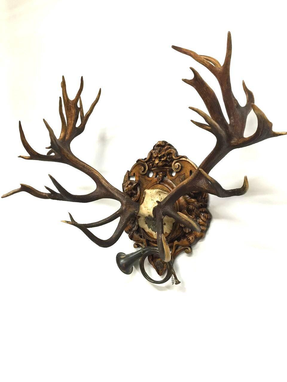 Historic red stag trophy taken during Kaiser Wilhelm II of Germany's Eulenburg hunt of 1892 in Liebenburg, Germany and decorated with an original officer's wappen from the officer's pickelhaube or helmet and the original fürst pless hunting Horn