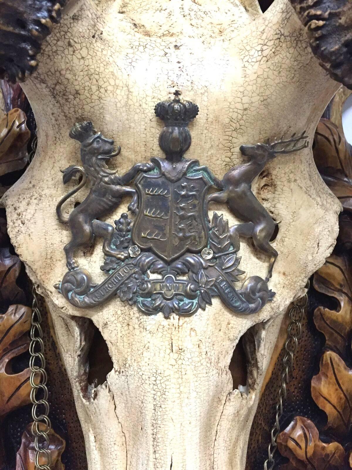 Bone 19th Century St. Hubertus Red Stag Hunting Trophy with Fürst Pless Horn