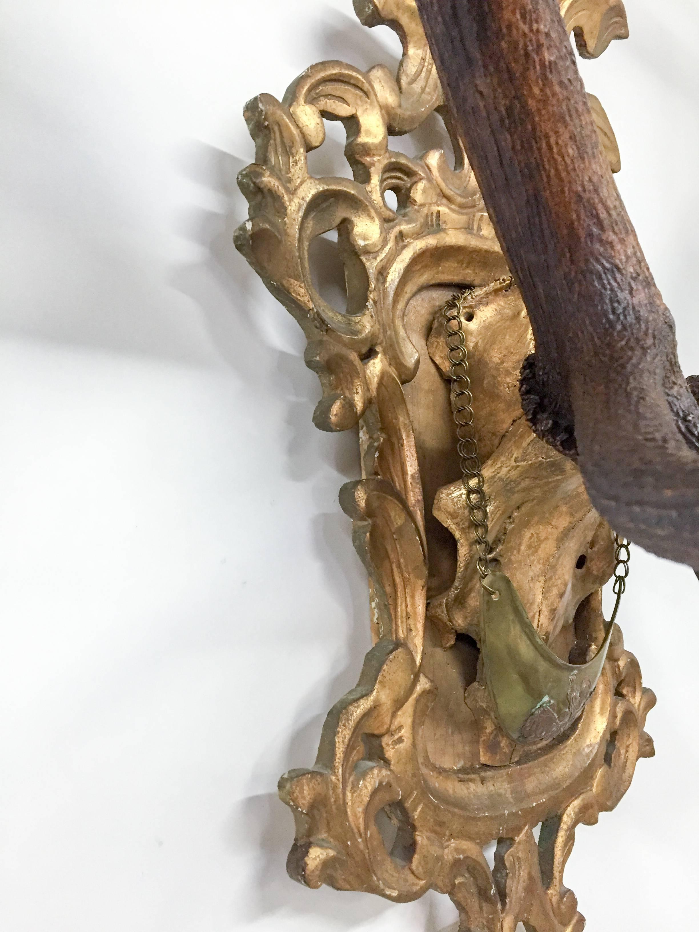 19th Century 19th C. Habsburg Red Stag Trophy on Hand-Carved Gilt Rococo Plaque with Gilt Cap