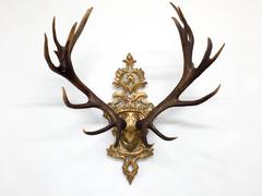 19th C. Habsburg Red Stag Trophy on Hand-Carved Gilt Rococo Plaque with Gilt Cap