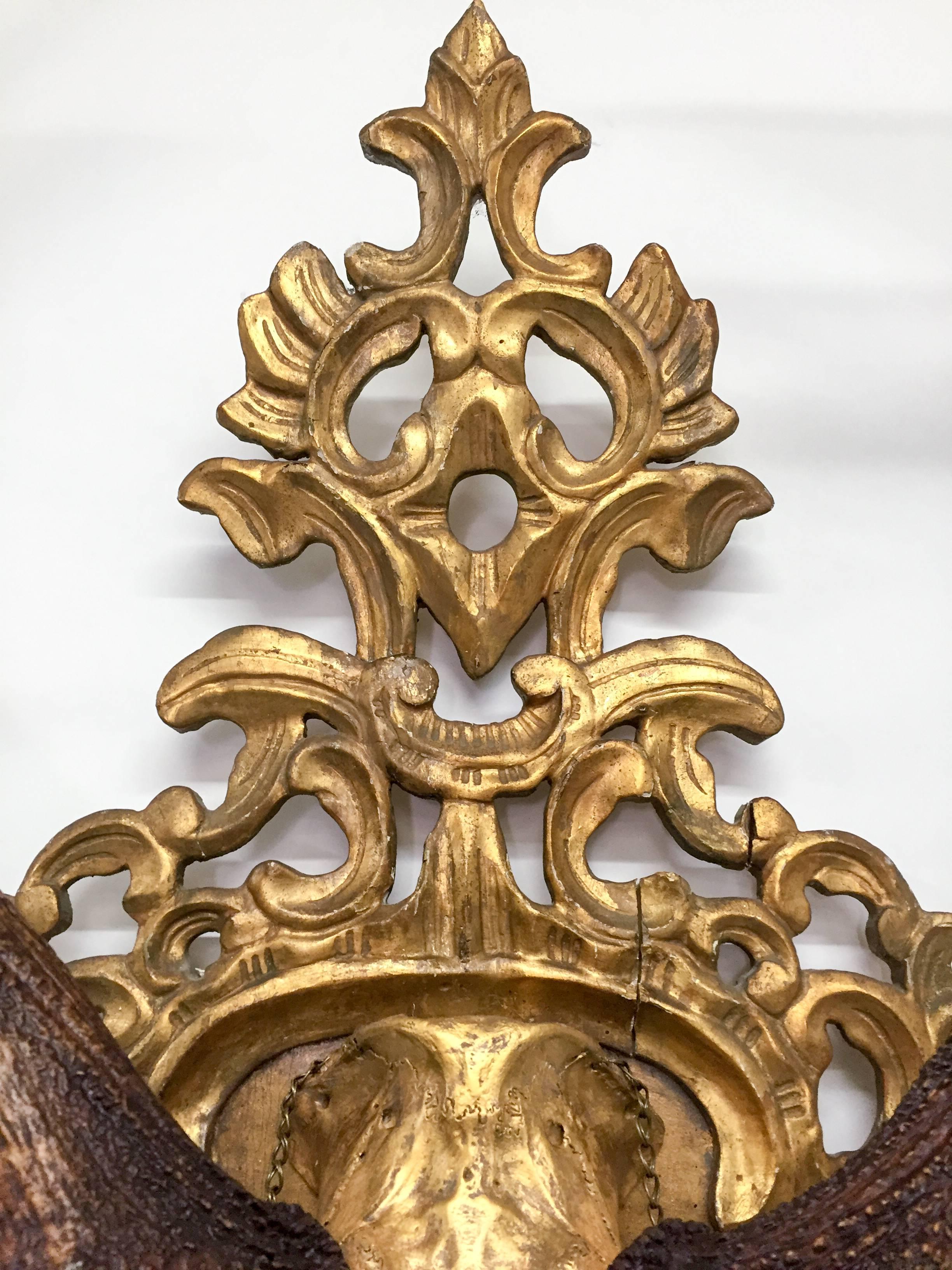 19th C. Habsburg Red Stag Trophy on Hand-Carved Gilt Rococo Plaque with Gilt Cap 4