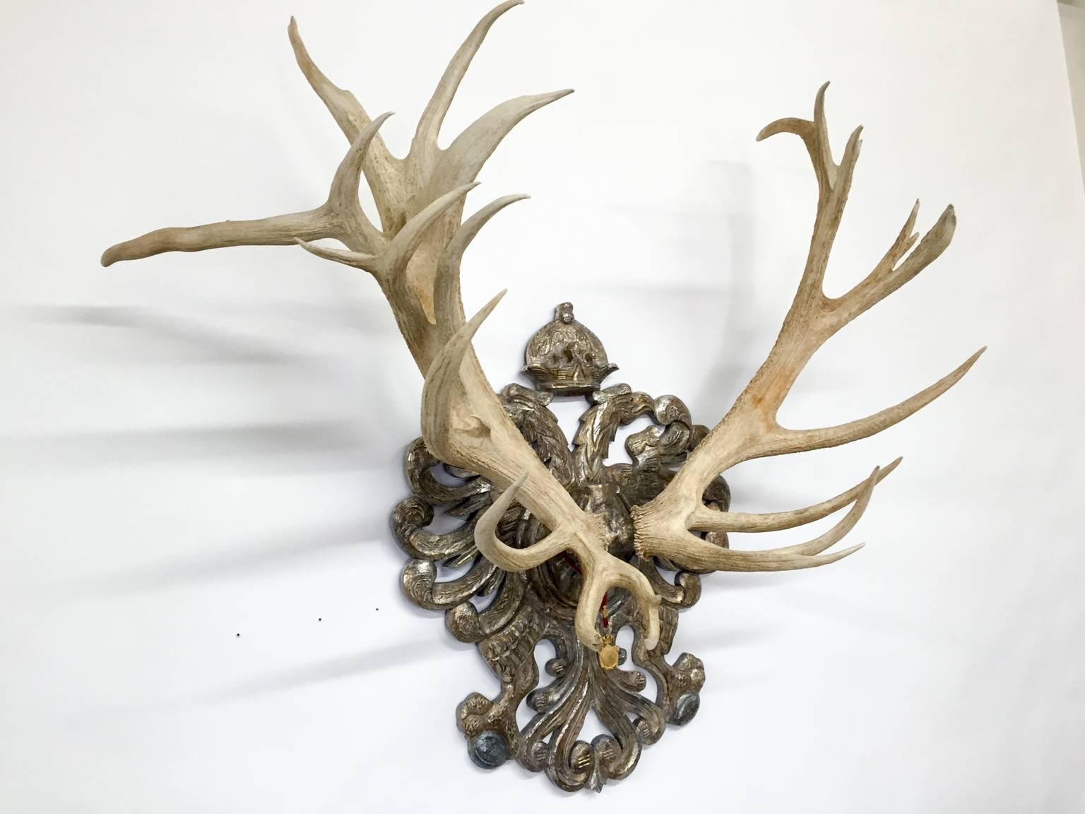19th century red stag from Emperor Franz Joseph's castle at Eckartsau in the Southern Austrian Alps, a favorite hunting schloss of the Habsburg Royal family. This historic hunting trophy features a hand carved 19th century plaque with polychrome