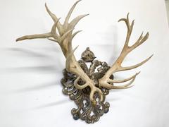 19th Century Habsburg Red Stag Trophy from Franz Joseph's Castle at Eckartsau
