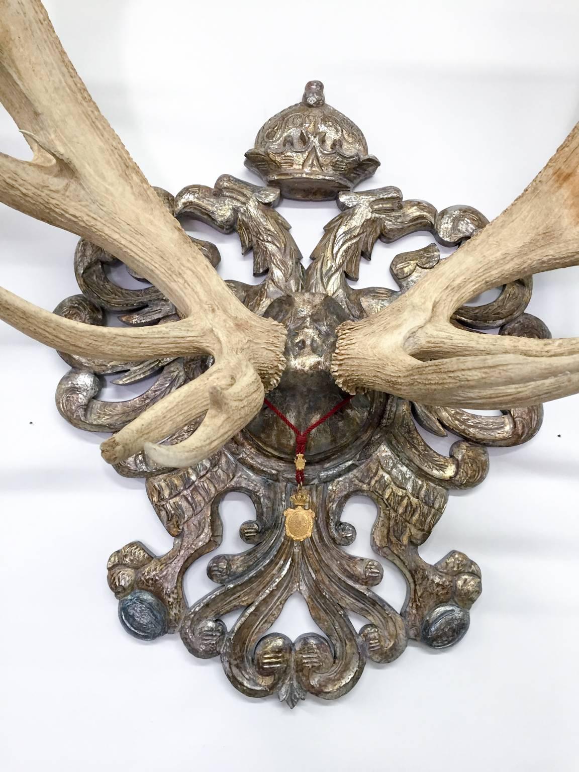 Black Forest 19th Century Habsburg Red Stag Trophy from Franz Joseph's Castle at Eckartsau