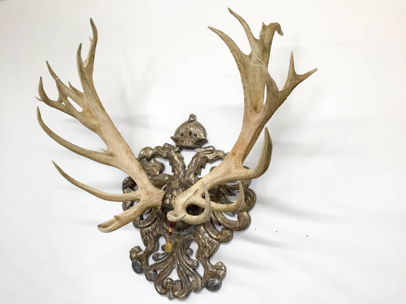 19th Century Habsburg Red Stag Trophy from Franz Joseph's Castle at Eckartsau 2