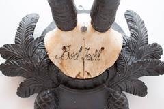 19th Century Habsburg Chamois Trophy from Bad Ischl