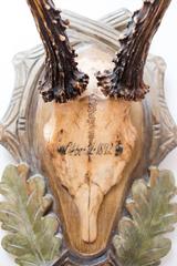 19th Century Habsburg Roe Trophies on Black Forest Carved Plaque