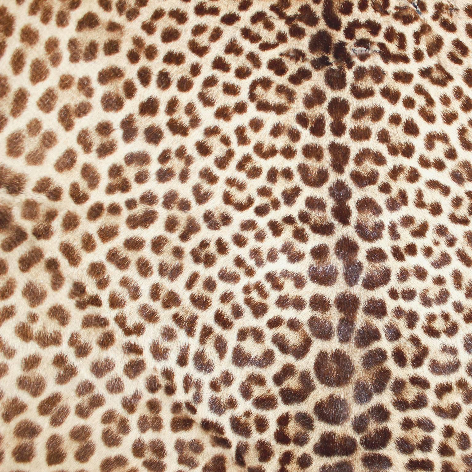 This gorgeous antique leopard skin rug was uncovered on our most recent buying trip, in the French Countryside. Measures approximately 70