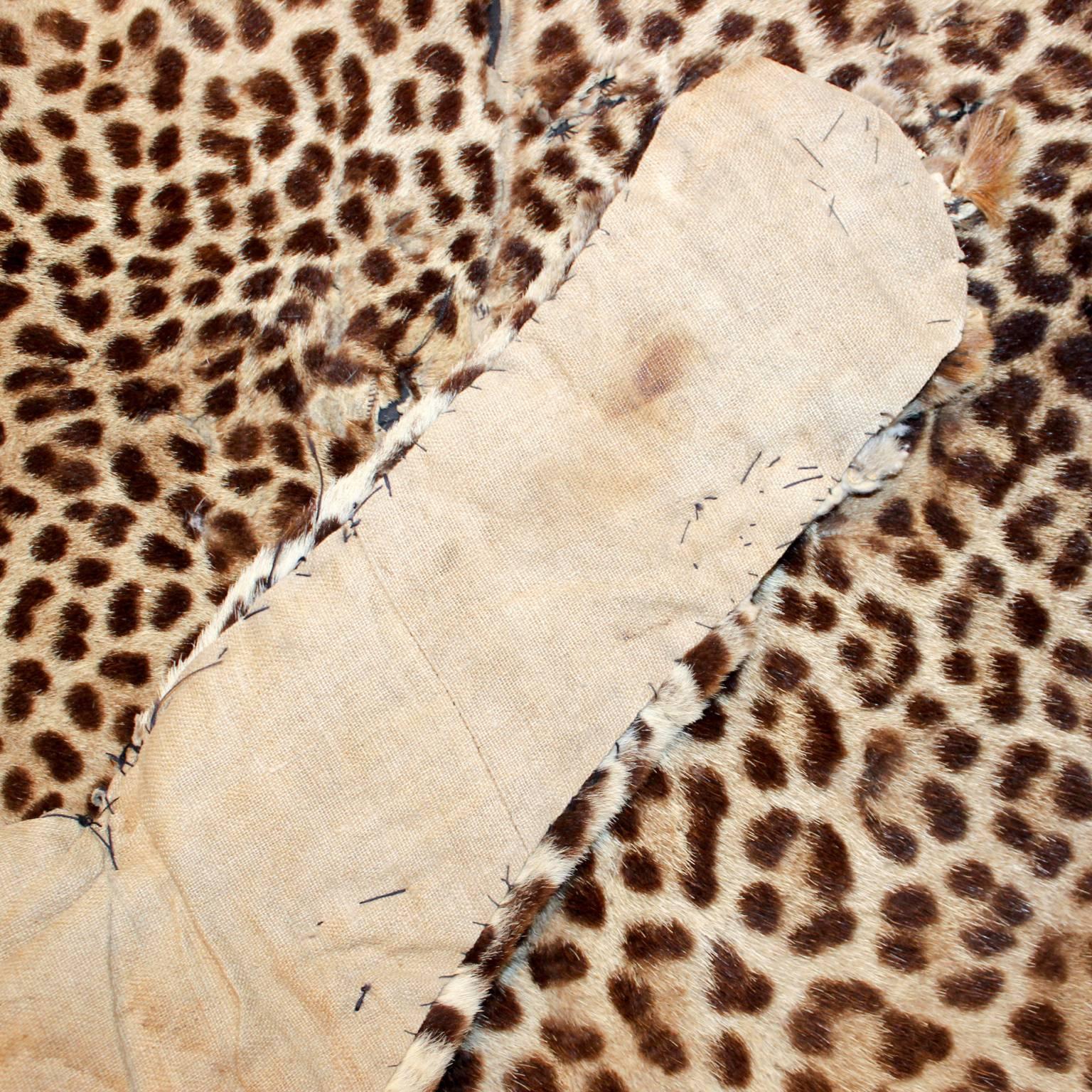 real leopard skin rug for sale