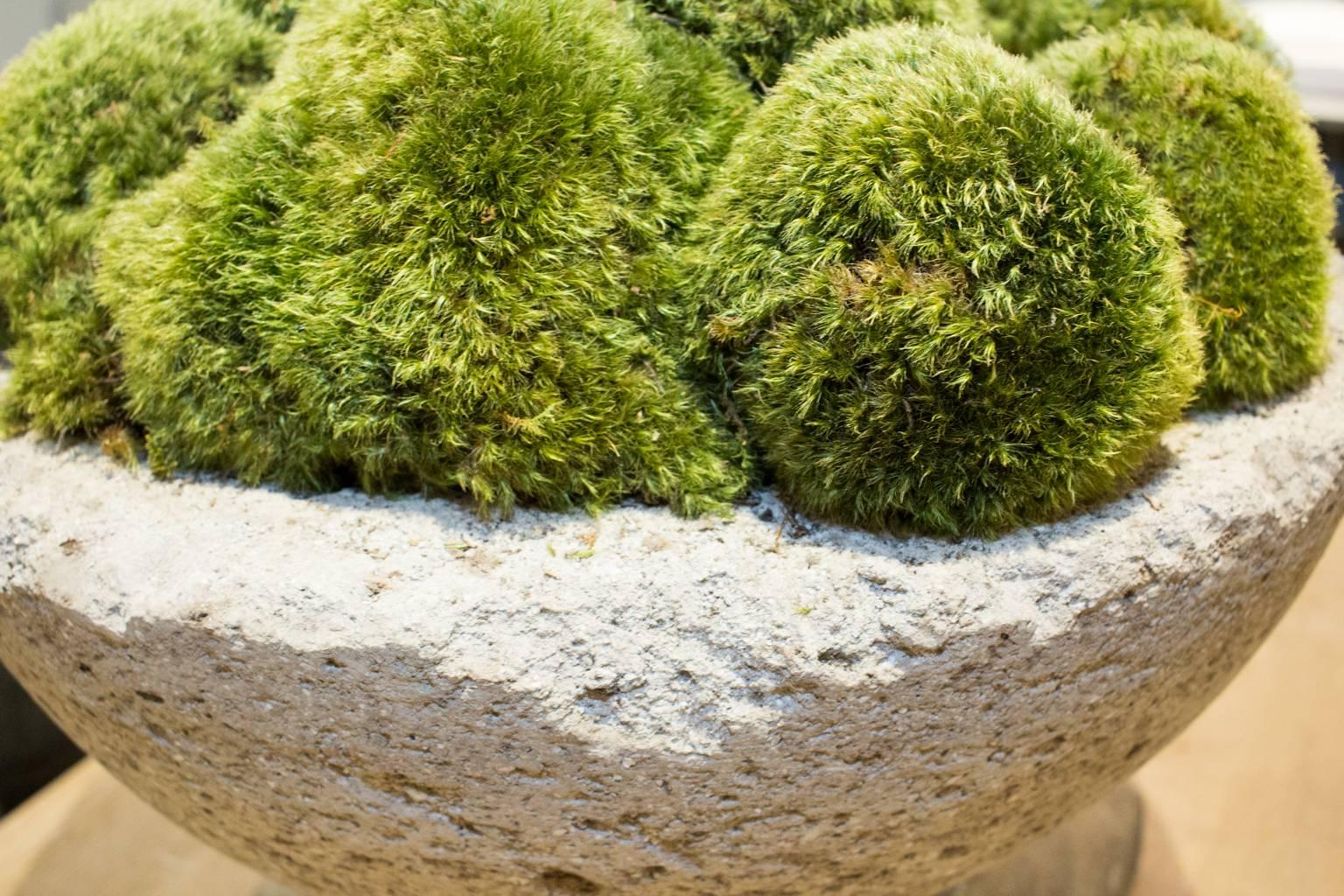 moss centerpiece bowl