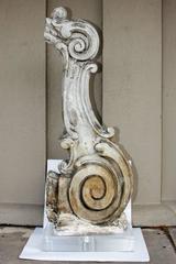 19th Century Belgian Plaster "Master" Church Architectural Corbel on Acrylic