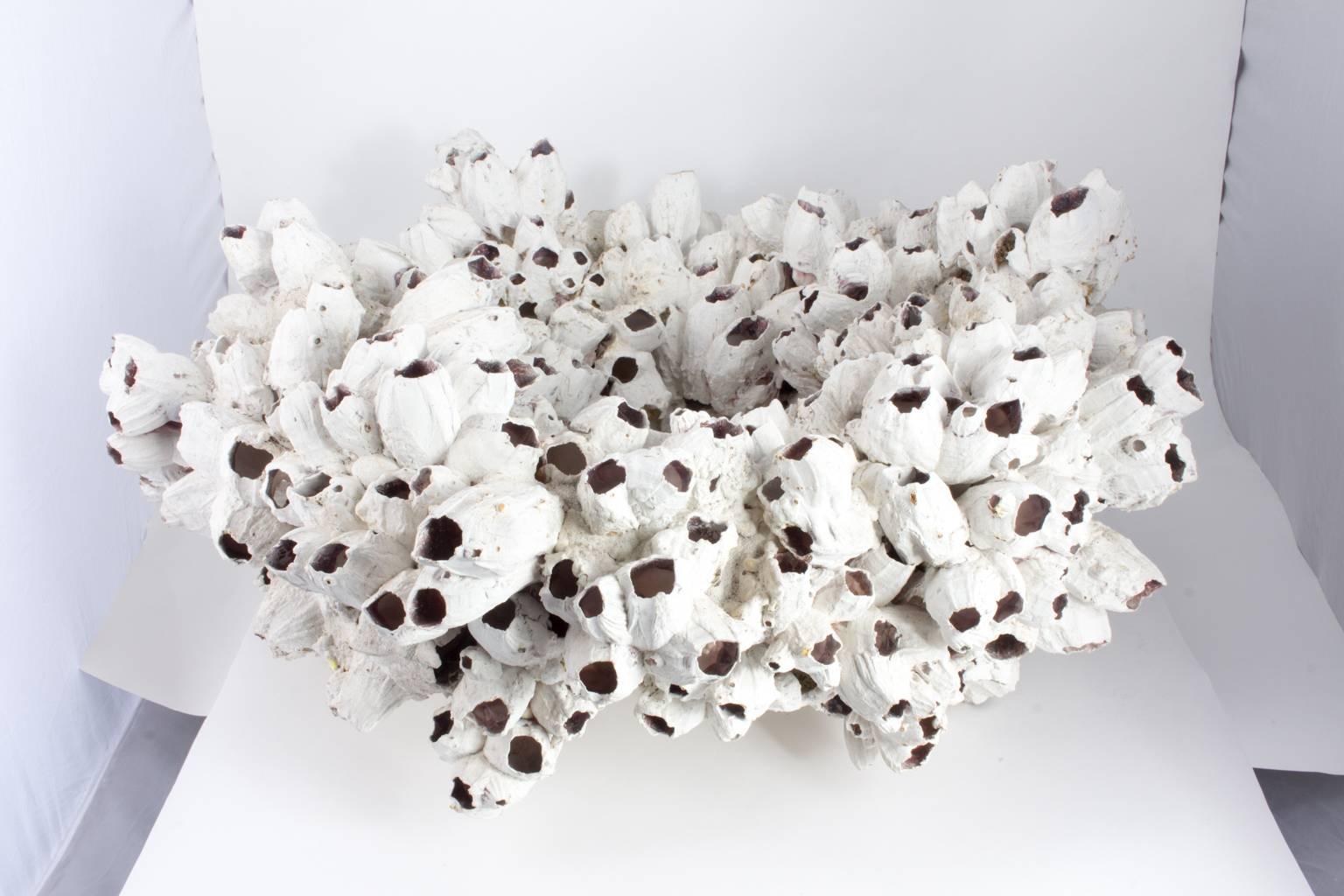 Handcrafted by a Texas artist, this large-scale sculpture incorporates barnacles to create a bowl centerpiece.