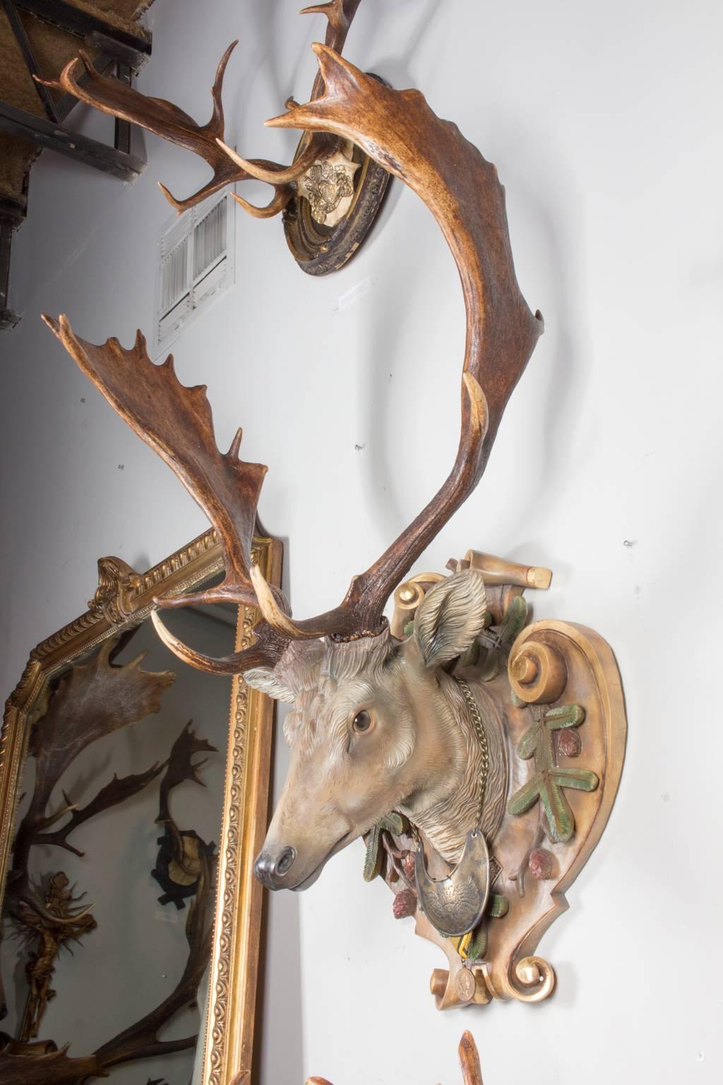 Hand-Carved Fallow Deer with Antique Habsburg Antlers from Eckartsau Castle 1
