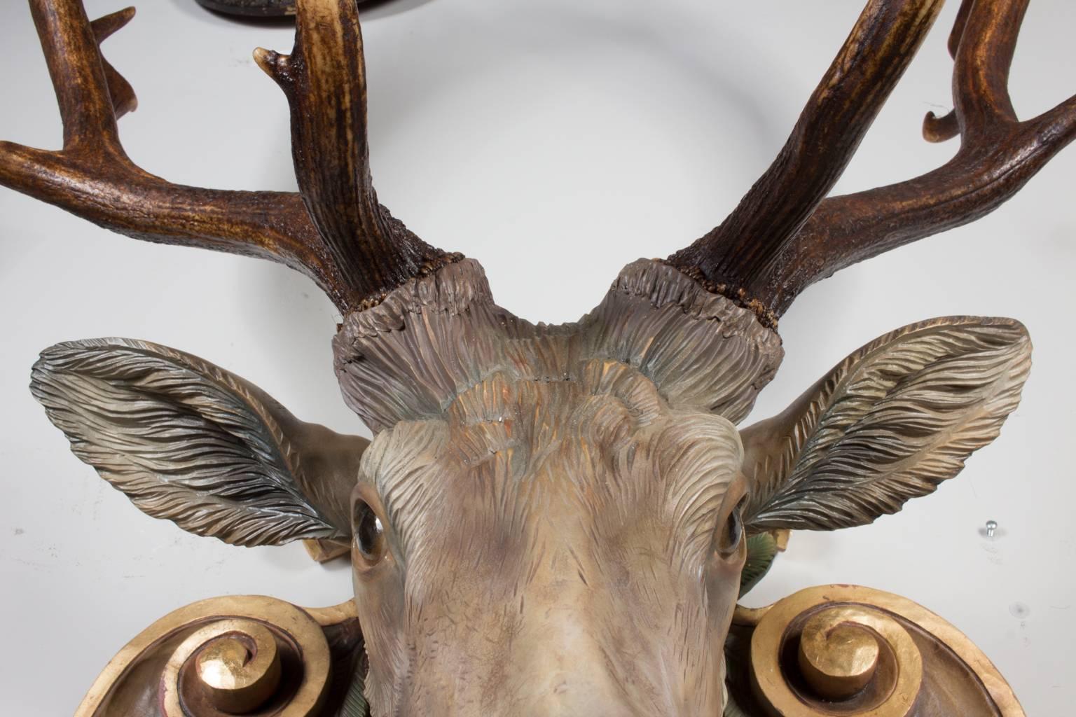 Hand-Carved Fallow Deer with Antique Habsburg Antlers from Eckartsau Castle 3