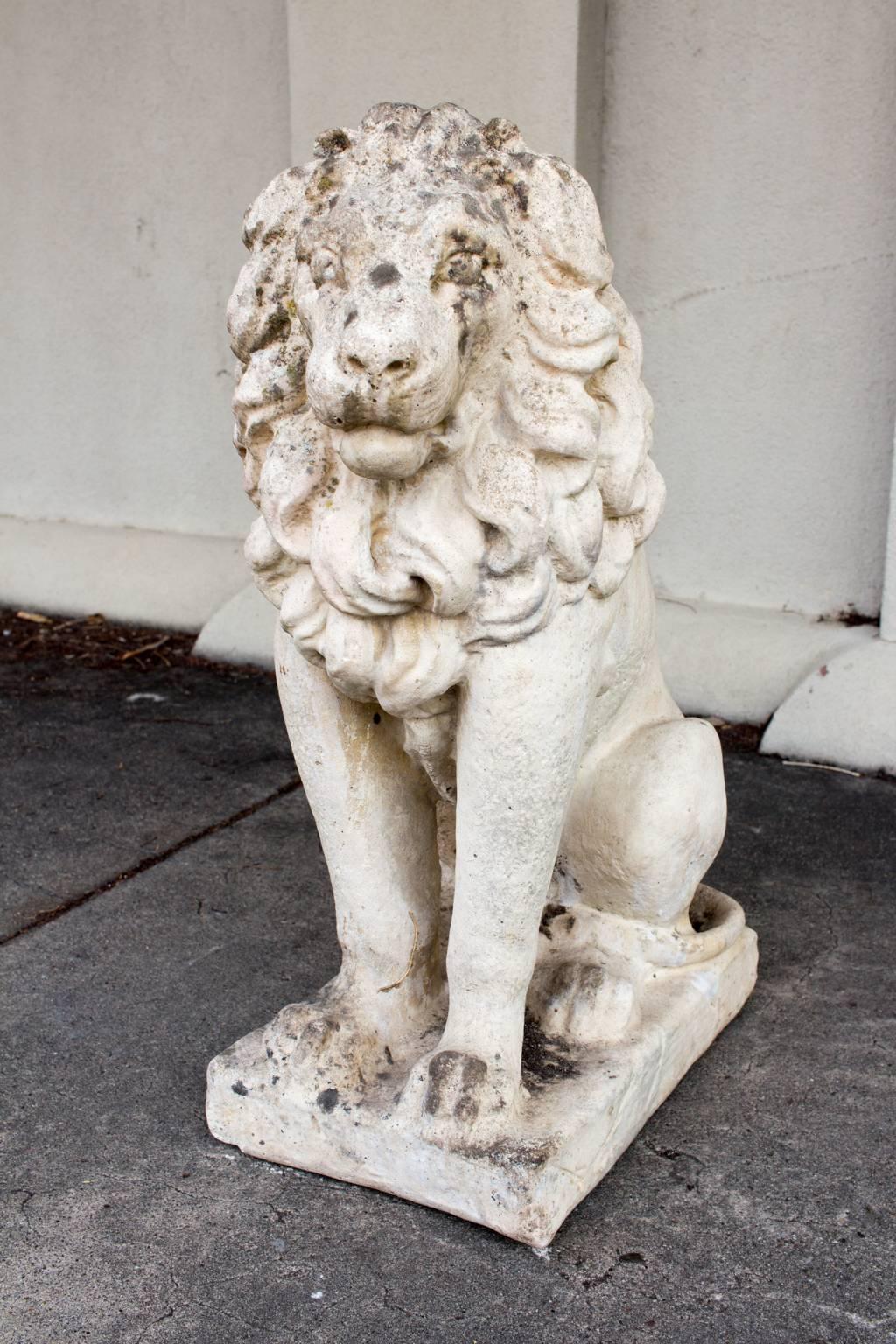 This cast stone lion dates to the 1920s and features a beautiful, weathered, spotted patina. Some chips and cracks are visible here and there, but overall he is in good condition, considering the time spent outdoors. Perfect for your front door